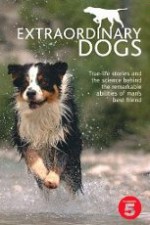 Watch Extraordinary Dogs M4ufree